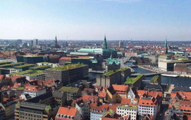 зеленые крыши Копенгаген: : Зеленые крыши, сады на крыше