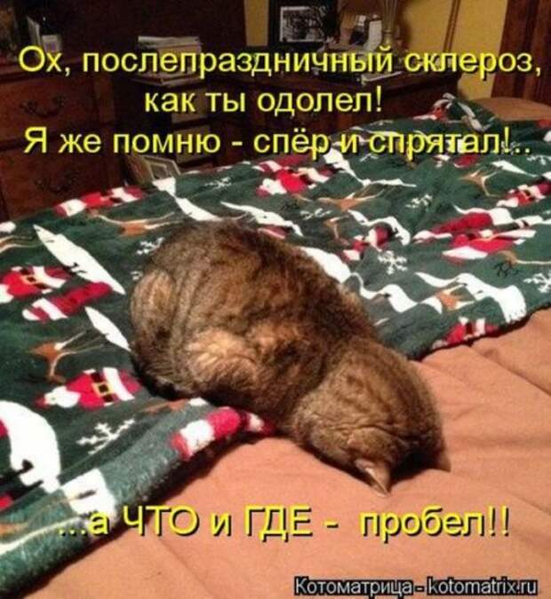 Прикольные котоматрицы (23 шт) Прикольные котоматрицы (23 шт)