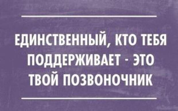 Подборка самых смешных шуток о жизни