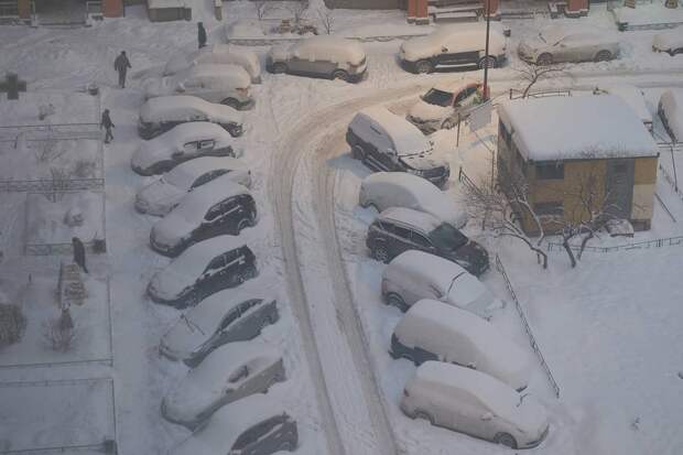 Москвичи нашли способ заработать на снегопадах