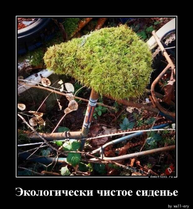 Демотиваторы прикольные (14 фото)