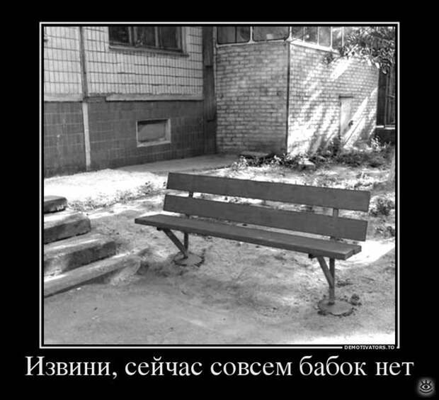 В поисках смысла 24