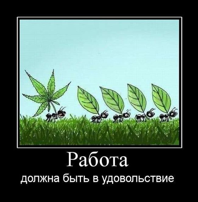 Демотиваторы (30 фото)