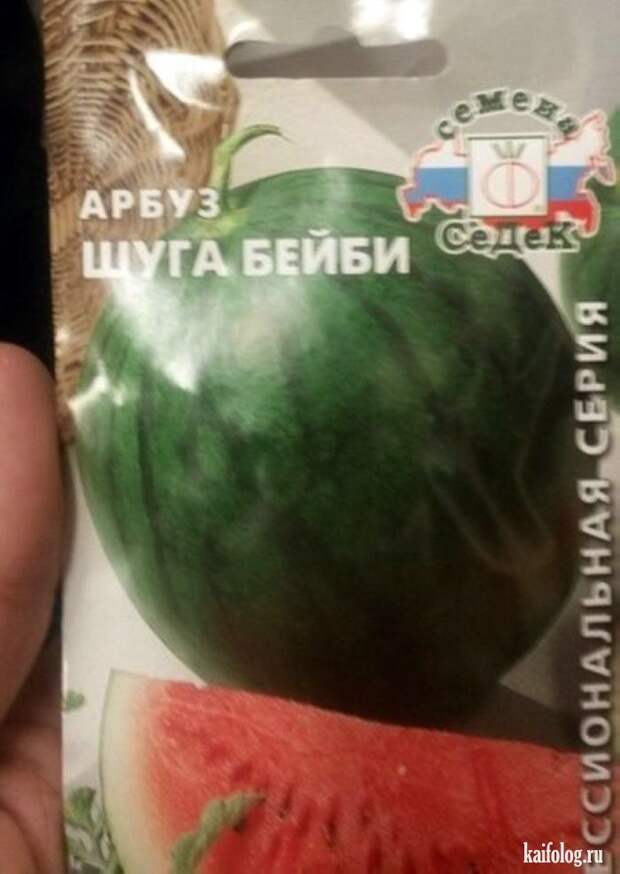 Прикольные семена (35 фото)