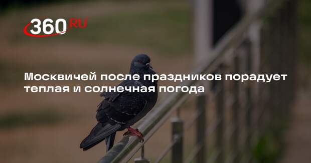 Синоптик Шувалов: после 8 Марта в Москве установится теплая погода