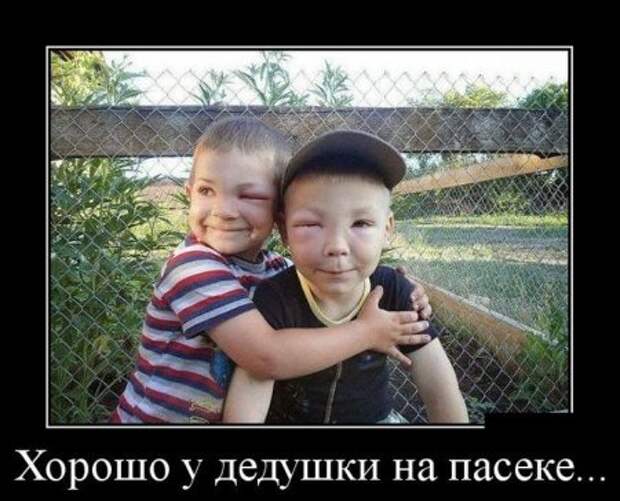 Демотиваторы, прикольно люди живут.  
