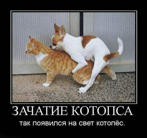 Демотиваторы (133 картинки)