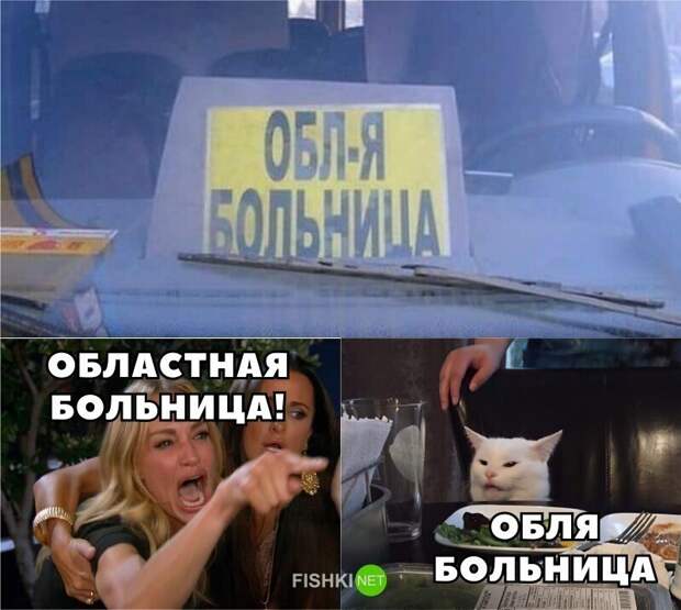 И снова всё опровергающий котик И снова всё опровергающий котик