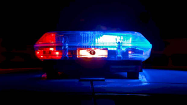 На Алтае водитель сбил пешехода и убежал пить алкоголь