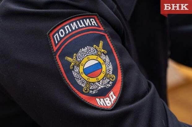 В МВД по Коми опровергли информацию об отстреле бездомных собак