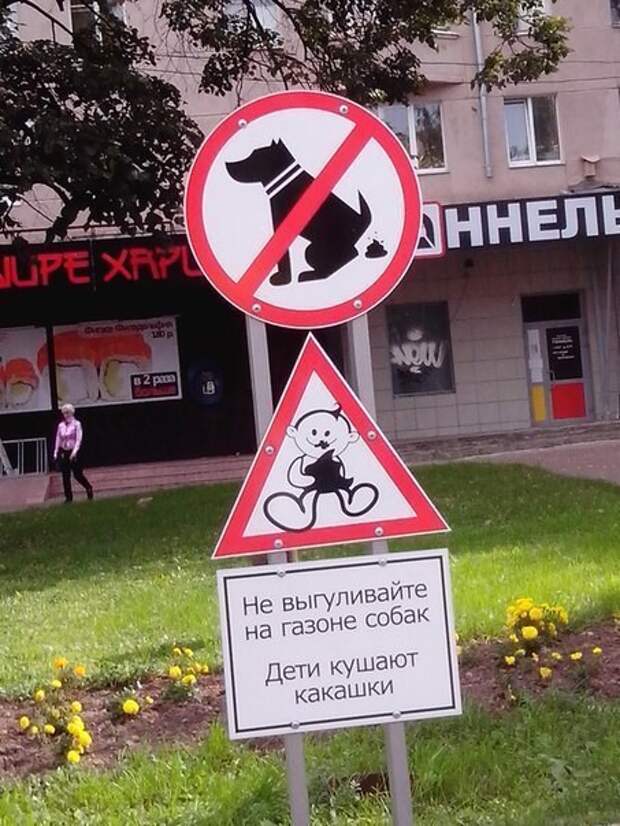 Просто так знак не поставят Просто так знак не поставят дети, коты, прикол, юмор