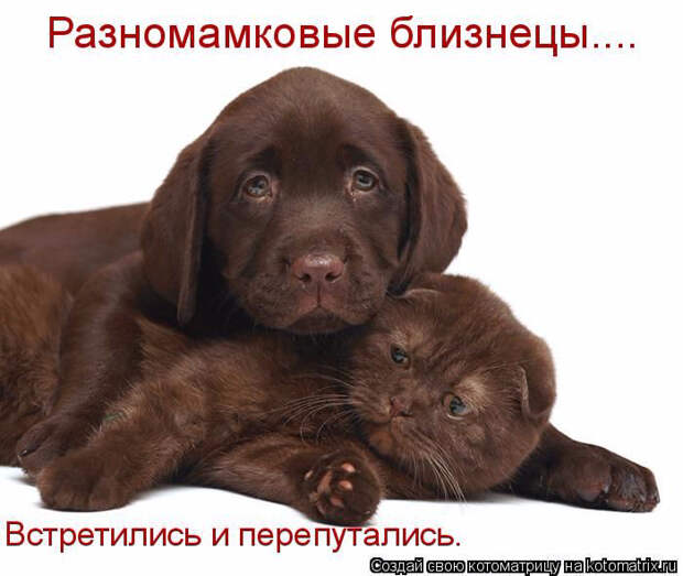 1433454508_34 (700x591, 250Kb)