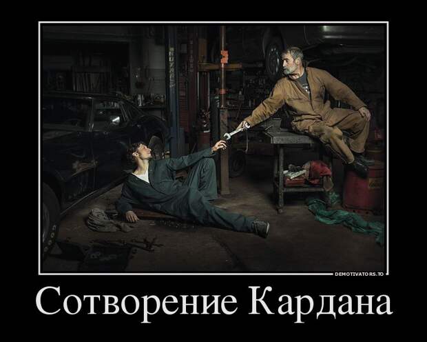 Демотиваторы демотиваторы, животные, прикол, юмор