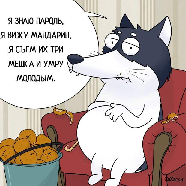 pixmafia.com интересные фото на pixmafia.com