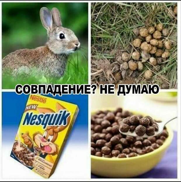 Вместо эпилога Вместо эпилога imgur, reddit, забавные картинки, случайно, совпадения, фото
