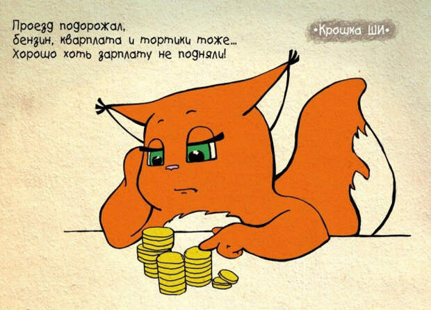рыжая белочка крошка ши (12)