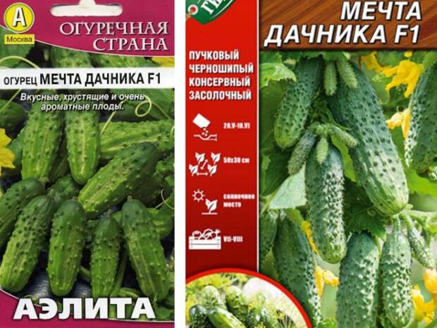 лучшие пучковые огурцы