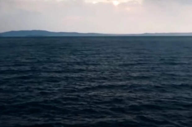 В Австралии подросток спас семью, проплыв четыре часа в открытом море