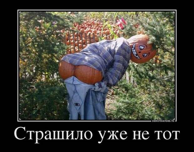 Демотиваторы  демотиваторы, прикол, смех, юмор