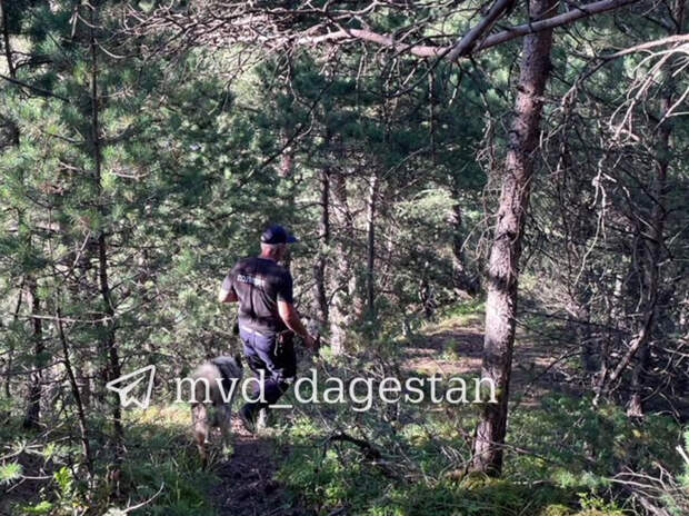 Житель дагестанского селения, где волк разорвал 8-летнего мальчика, рассказал о трагедии
