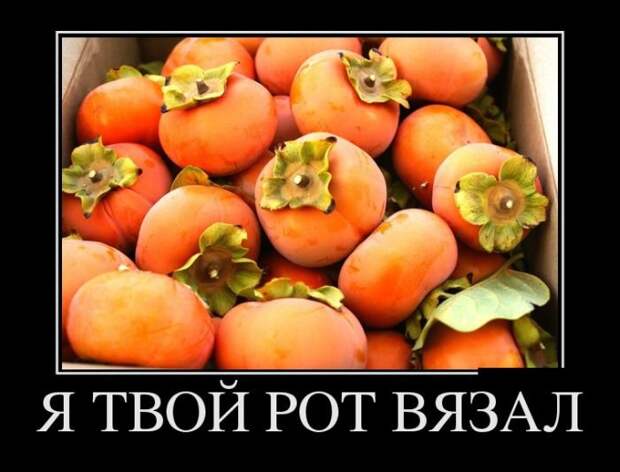 Новые воскресные демотиваторы