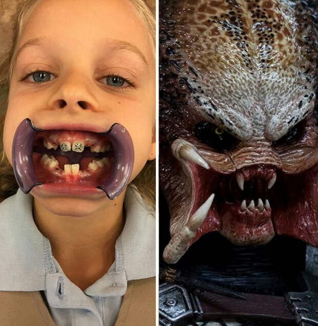similar-things-look-alike-6__700