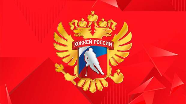 Арбитру Скугареву пожизненно запретили заниматься любой хоккейной деятельностью