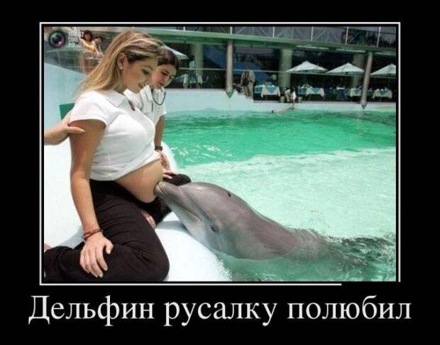 Пятничная подборка демотиваторов