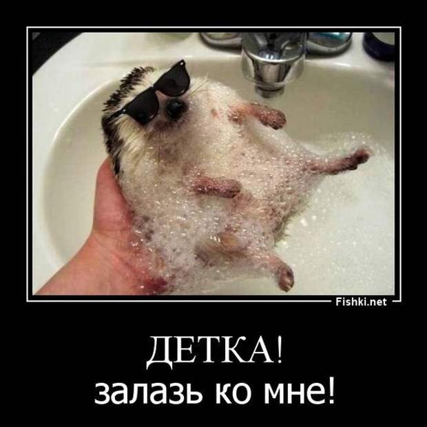 Демотиваторы  демотиваторы, прикол, смех, юмор