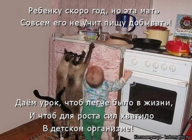 Котоматрица на Бугаге (34 фото)