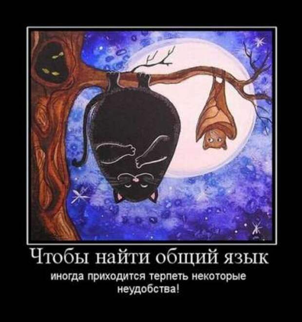 Демотиваторы по русски со смыслом.