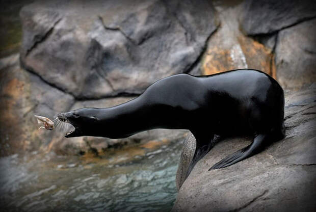 Новый фотопроект от National Geographic