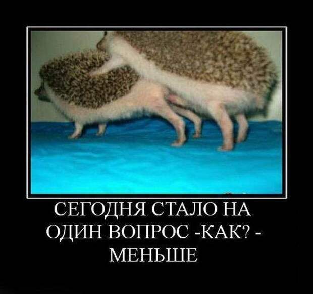 Демотиваторы (133 картинки)