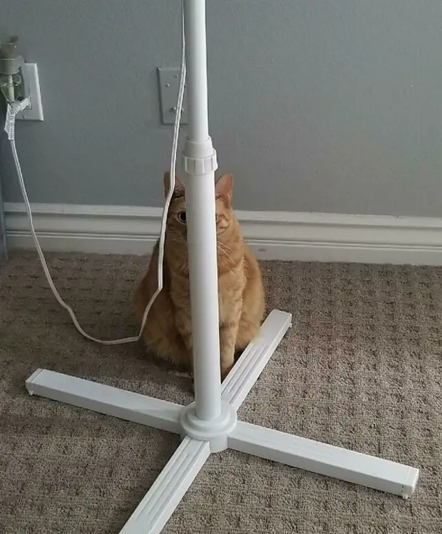 ?