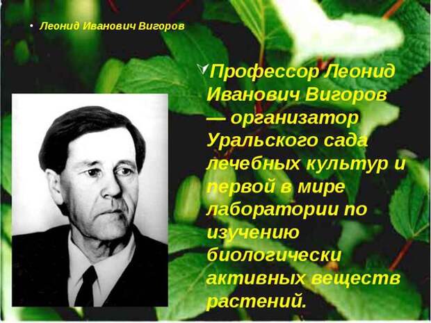 Молодильные яблоки профессора Вигорова Молодильные яблоки профессора Вигорова