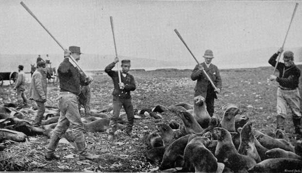 Странные исторические фотографии