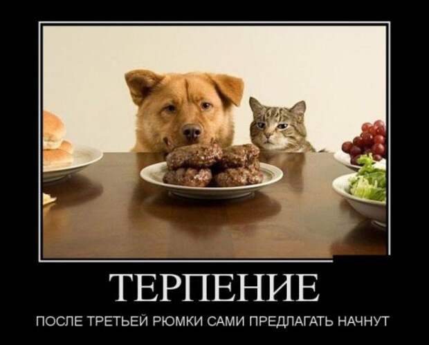 Демотиваторы картинки, прикольное