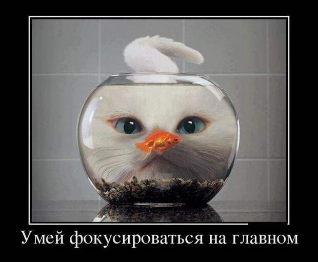 Демотиваторы (30 фото)
