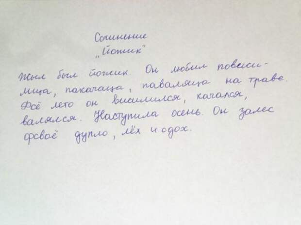 Выдержки из школьных сочинений