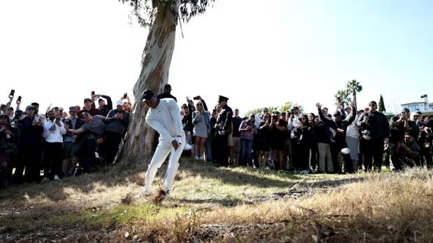 Tiger Woods takes a shot at the Genesis Invitational.