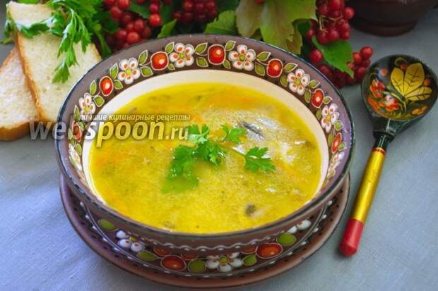 Фото Рассольник с курицей и грибами