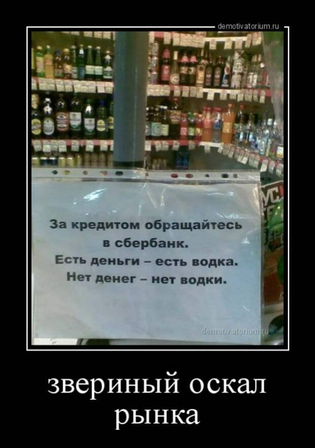 Демотиваторы-новинки для всех (12 шт)
