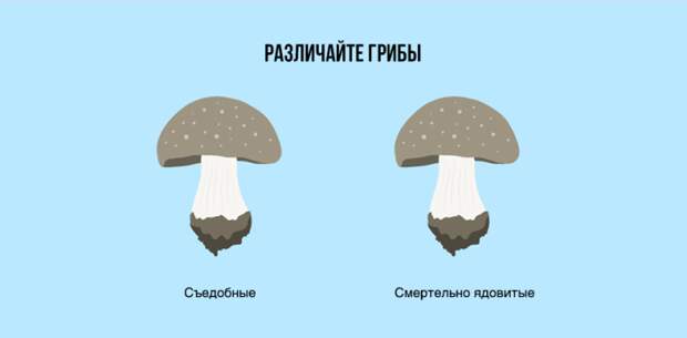 иллюстраций о истинах жизни в современном мире