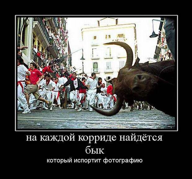 Демотиваторы (33 фото) Демотиваторы (33 фото)