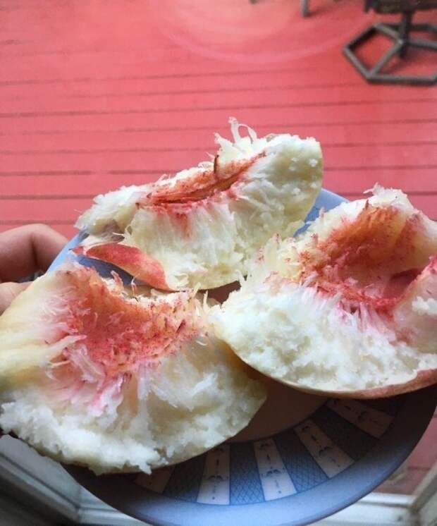Снимки от людей, у которых день явно не задался