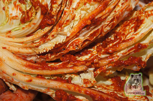 DSC04450 (700x464, 551Kb)