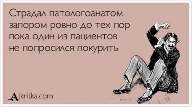 Веселые Аткрытки с текстом Веселые Аткрытки с текстом