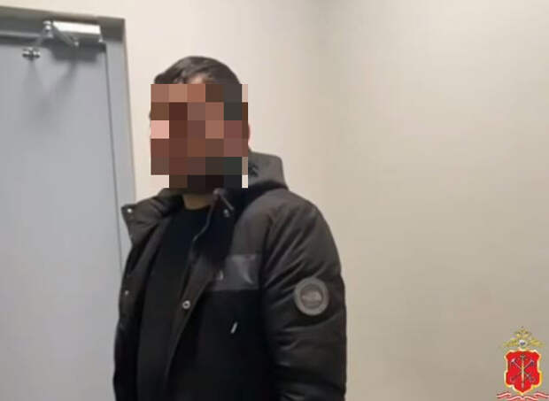 В Ленобласти мигрант-нелегал торговал на АЗС 380 литрами суррогата