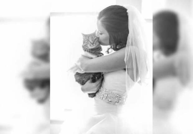 Свадебные фотографии пар, которые решили пригласить на свадьбу своих домашних питомцев и не пожалели об этом