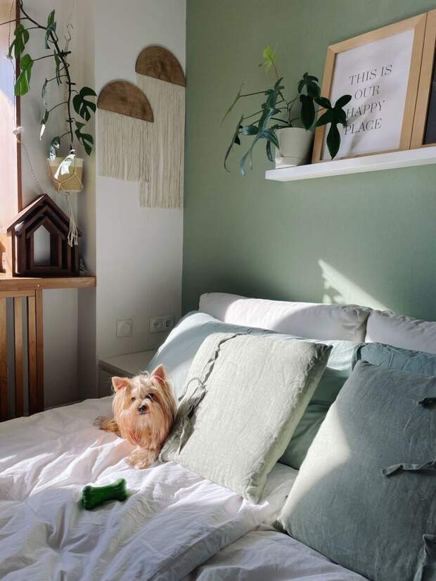 В зоне спальни доминируют зеленые (оливковые, мятные) оттенки. Говорят, они успокаивают и настраивают на релакс. Постельное белье подобрано в тон к стенам